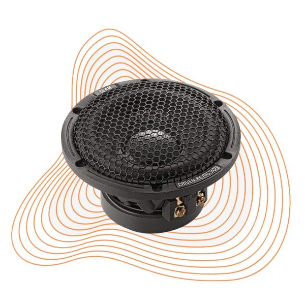 LM80 speaker