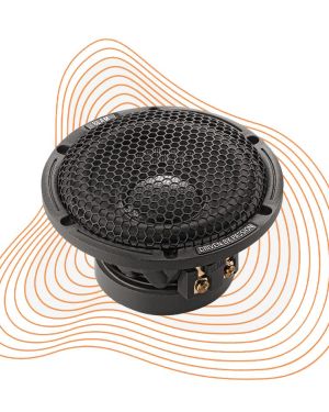 LM80 speaker