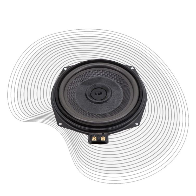 BM 200 WN subwoofer