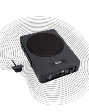 MSA 25 P amplified subwoofer