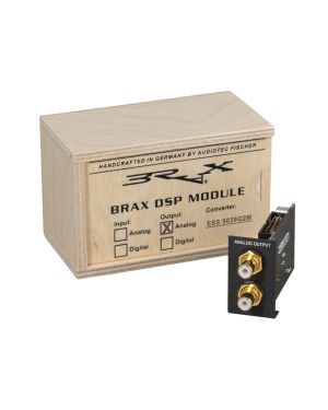 BRAX DSP – Upgrade Module – Analog Output with ESS