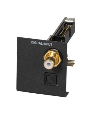 BRAX DSP – Input SPDIF